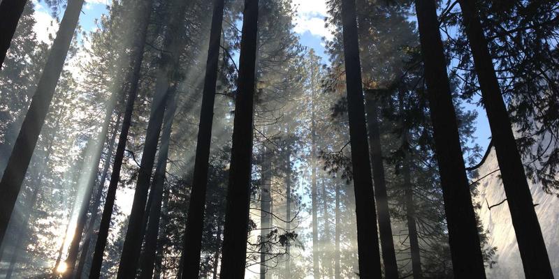 TIS无锡工业安全整体方案:构建IT、OT与机器人集成的纵深防御新范式