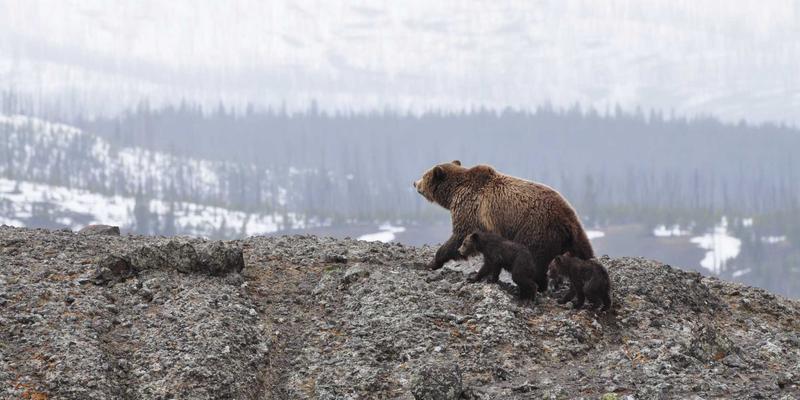 中小制造企业如何低成本实现自动化？SCADA、机器人集成与控制系统改造三步走