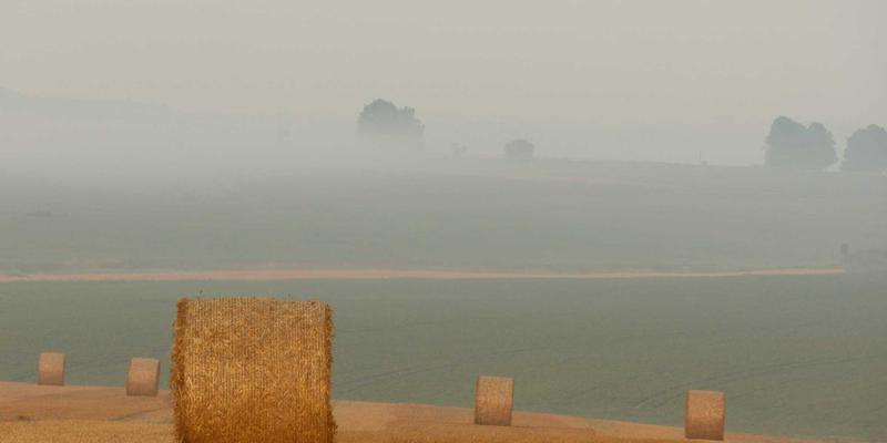 从产线到云端：TIS无锡如何为离散制造打造端到端自动化升级方案