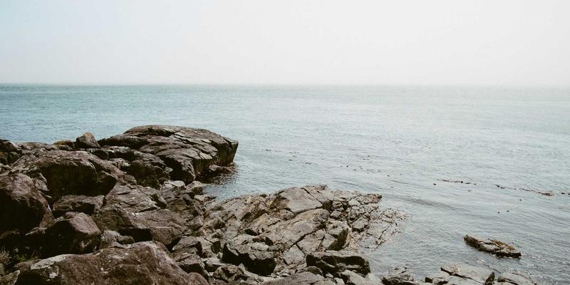 告别意外停机：TIS无锡如何利用SCADA数据与AI模型，将PLC故障停机时间降低70%